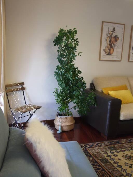 Appartement Elduayen Luxury Centro à Vigo Extérieur photo
